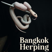 bangkokherping.com