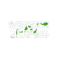 bangkokherping.com